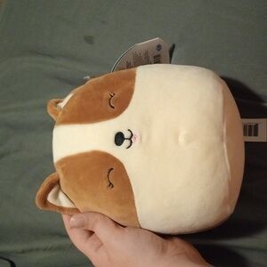 Original Squishmallows Regina